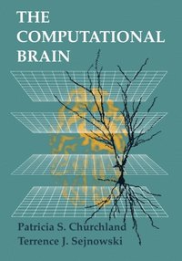 Computational Brain