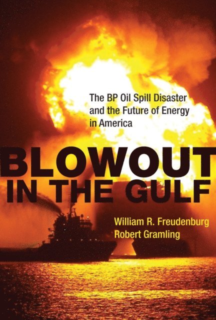 Robert Gramling, William R. Freudenburg - Blowout in the Gulf, E-bok
