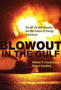 Blowout in the Gulf