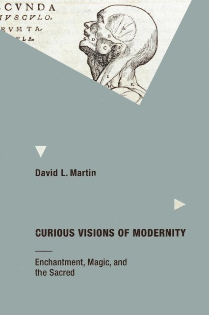 David L. Martin - Curious Visions of Modernity, E-bok