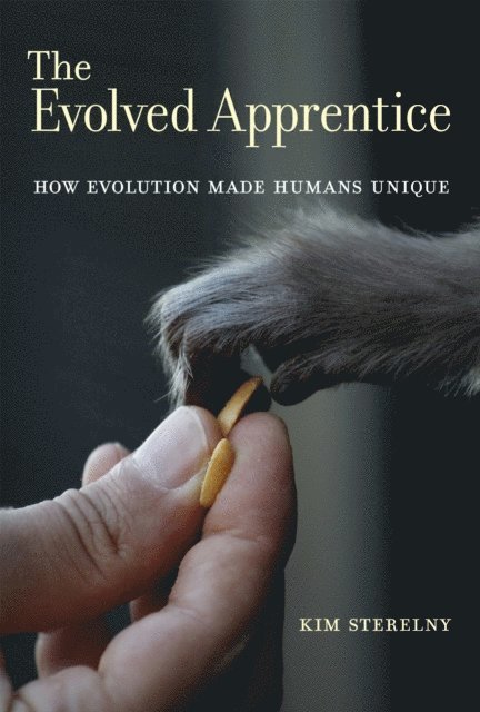 Kim Sterelny - Evolved Apprentice, E-bok
