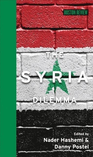 Danny Postel, Nader Hashemi - Syria Dilemma, E-bok