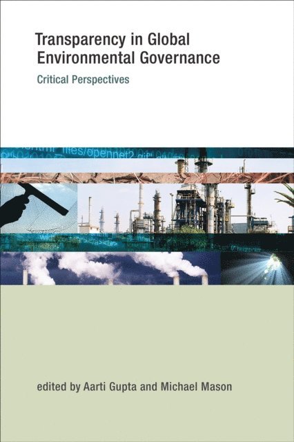 Michael Mason, Aarti Gupta - Transparency in Global Environmental Governance, E-bok