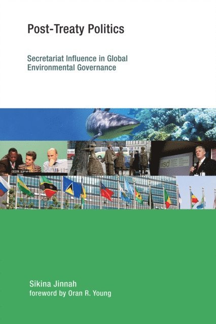 Sikina Jinnah - Post-Treaty Politics, E-bok