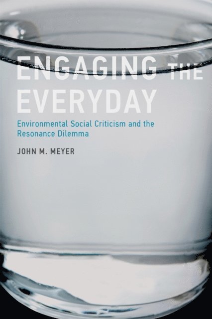 John M. Meyer - Engaging the Everyday, E-bok