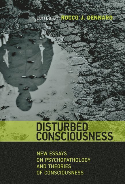 Rocco J. Gennaro - Disturbed Consciousness, E-bok
