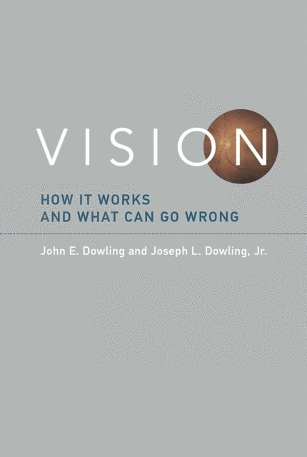 Jr. Joseph L. Dowling, John E. Dowling - Vision, E-bok