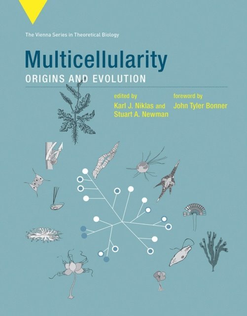 Stuart A. Newman, Karl J. Niklas - Multicellularity, E-bok