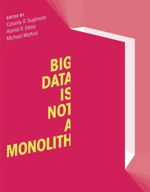 Michael Mattioli, Hamid R. Ekbia, Cassidy R. Sugimoto - Big Data Is Not a Monolith, E-bok