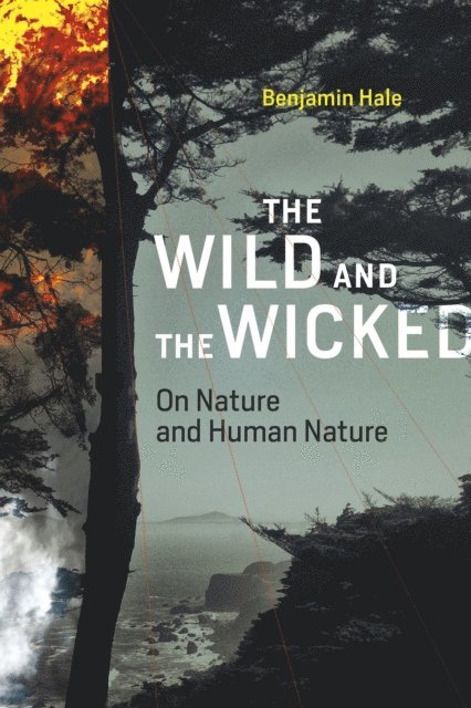 Benjamin Hale - Wild and the Wicked, E-bok