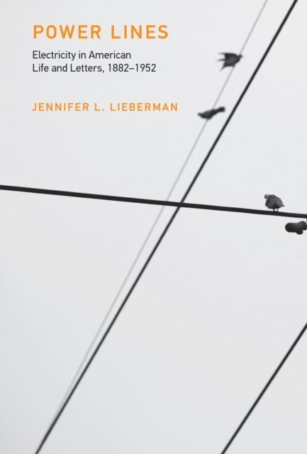 Jennifer L. Lieberman - Power Lines, E-bok
