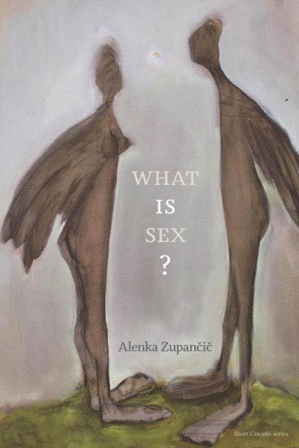 Alenka Zupancic - What IS Sex?, E-bok