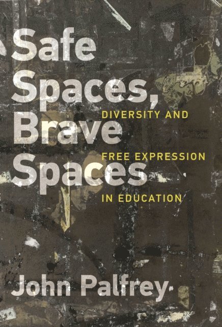 John Palfrey - Safe Spaces, Brave Spaces, E-bok