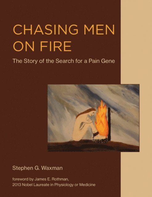 Stephen G. Waxman - Chasing Men on Fire, E-bok
