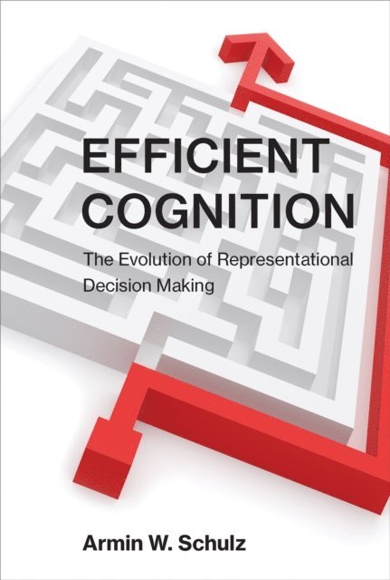 Armin W. Schulz - Efficient Cognition, E-bok