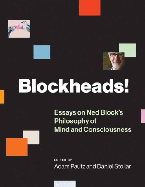 Daniel Stoljar, Adam Pautz - Blockheads!, E-bok