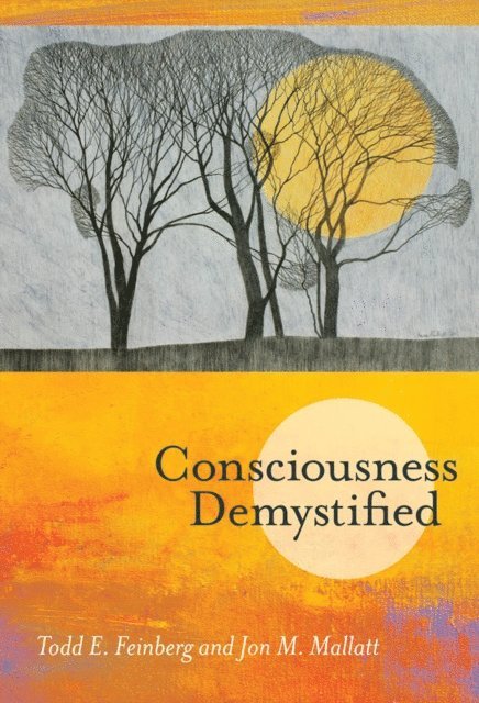 Jon M. Mallatt, Todd E. Feinberg - Consciousness Demystified, E-bok