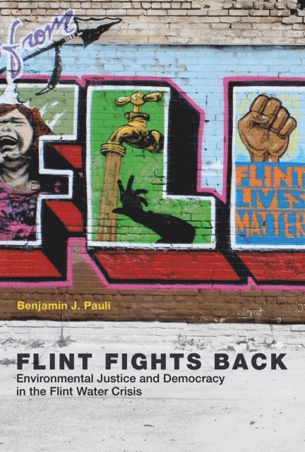 Benjamin J. Pauli - Flint Fights Back, E-bok