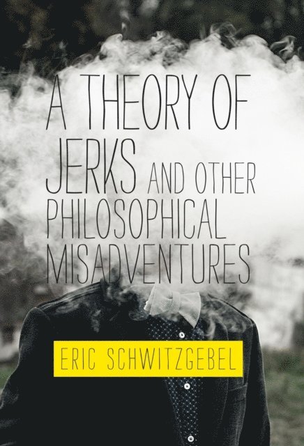 Eric Schwitzgebel - Theory of Jerks and Other Philosophical Misadventures, E-bok