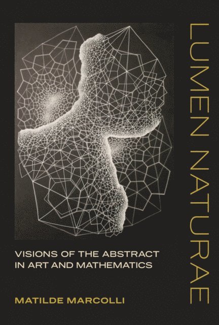 Matilde Marcolli - Lumen Naturae, E-bok