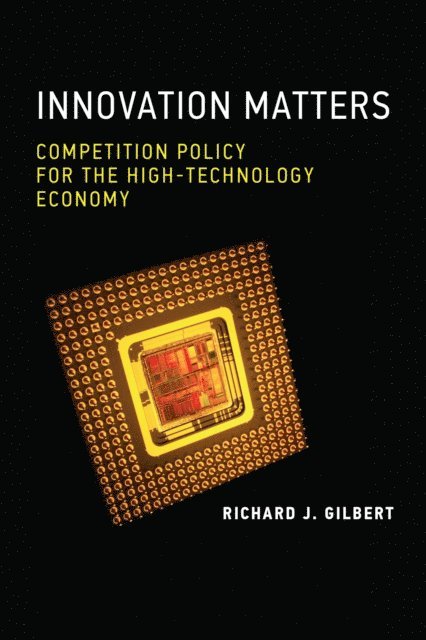 Richard J. Gilbert - Innovation Matters, E-bok
