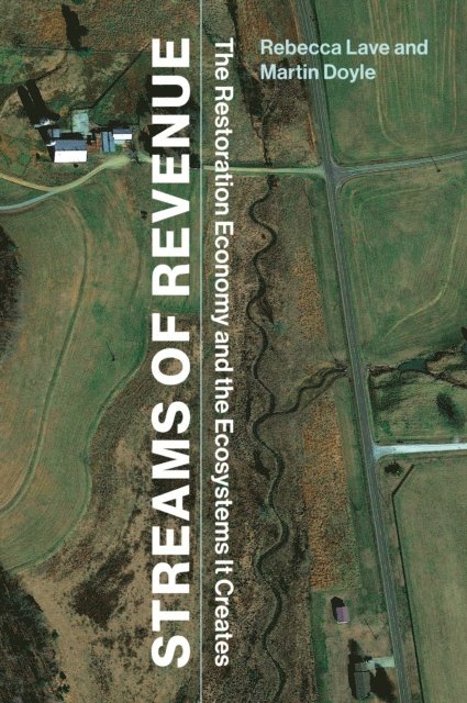 Martin Doyle, Rebecca Lave - Streams of Revenue, E-bok