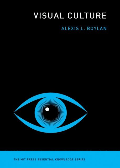 Alexis L. Boylan - Visual Culture, E-bok