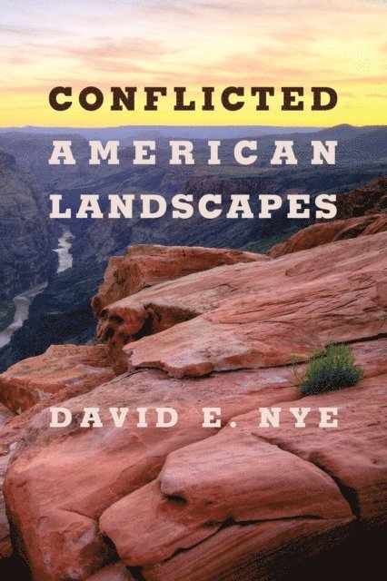David E. Nye - Conflicted American Landscapes, E-bok