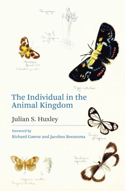 Julian S. Huxley - Individual in the Animal Kingdom, E-bok