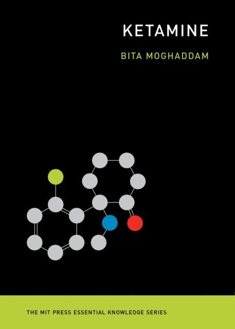 Bita Moghaddam - Ketamine, E-bok