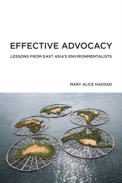 Mary Alice Haddad - Effective Advocacy, E-bok