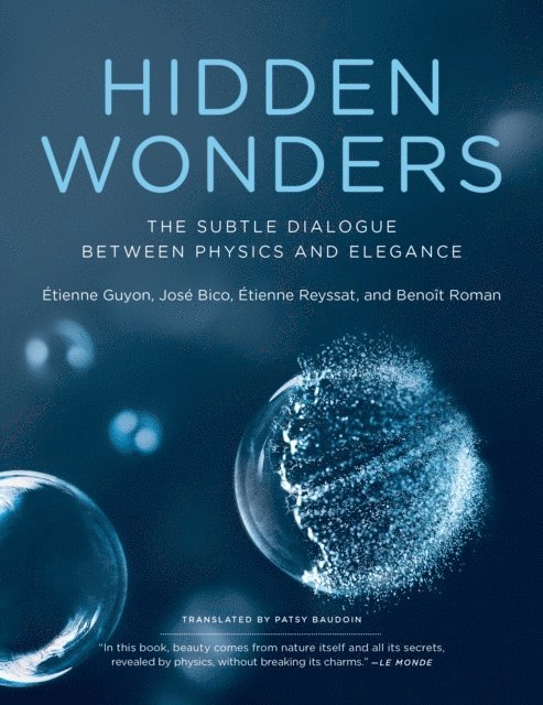 Benoit Roman, Etienne Reyssat, Jose Bico, Etienne Guyon - Hidden Wonders, E-bok