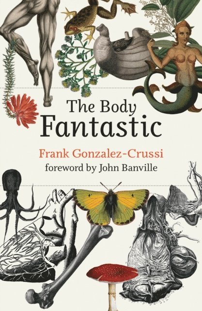 Frank Gonzalez-Crussi - Body Fantastic, E-bok