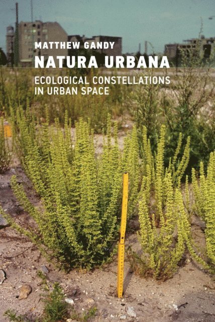 Matthew Gandy - Natura Urbana, E-bok