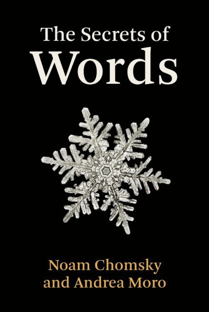 Andrea Moro, Noam Chomsky - Secrets of Words, E-bok