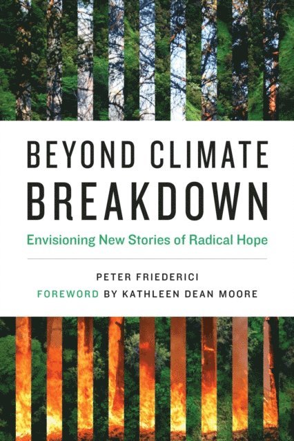 Peter Friederici - Beyond Climate Breakdown, E-bok