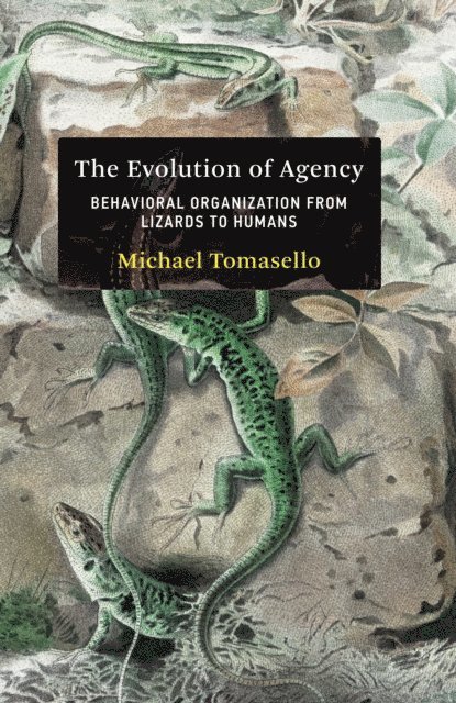 Michael Tomasello - Evolution of Agency, E-bok