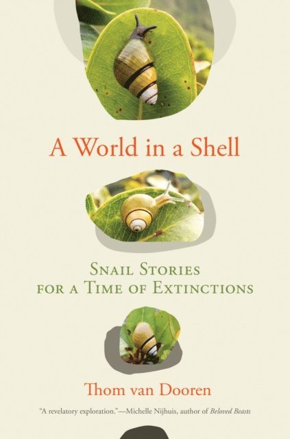 Thom van Dooren - World in a Shell, E-bok