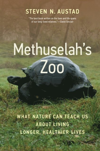 Steven N. Austad - Methuselah's Zoo, E-bok