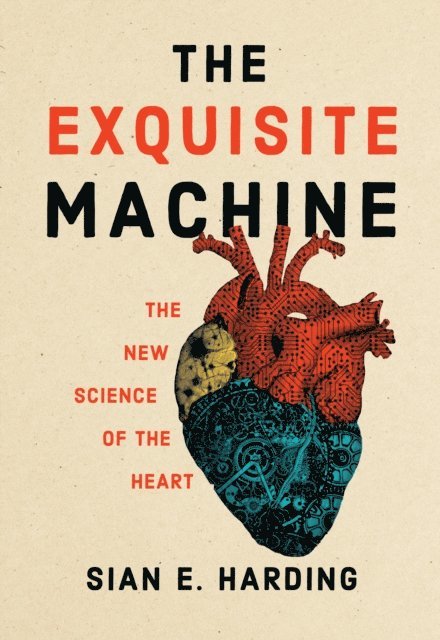 Sian E. Harding - Exquisite Machine, E-bok
