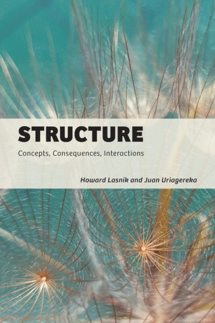 Juan Uriagereka, Howard Lasnik - Structure, E-bok