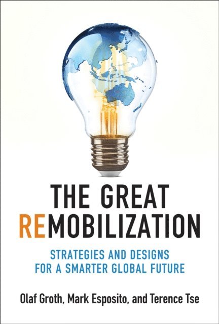 Olaf Groth - Great Remobilization, E-bok