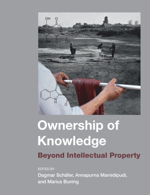 Marius Buning, Annapurna Mamidipudi, Dagmar Schafer - Ownership of Knowledge, E-bok