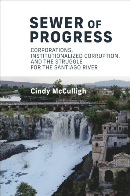 Cindy Mcculligh - Sewer of Progress, E-bok