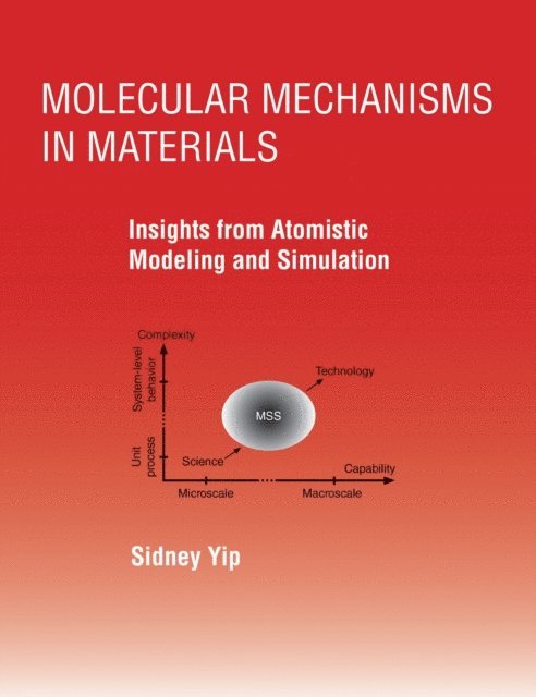 Sidney Yip - Molecular Mechanisms in Materials, E-bok