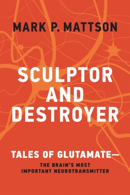 Mark P. Mattson - Sculptor and Destroyer, E-bok