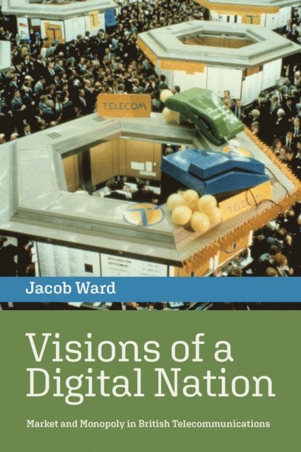Jacob Ward - Visions of a Digital Nation, E-bok