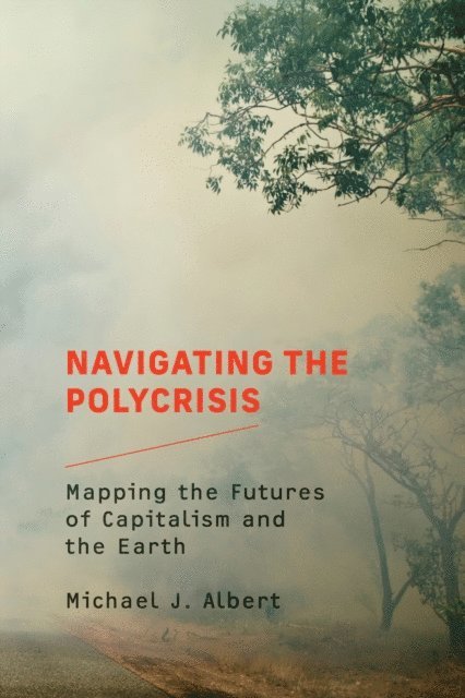 Michael J. Albert - Navigating the Polycrisis, E-bok