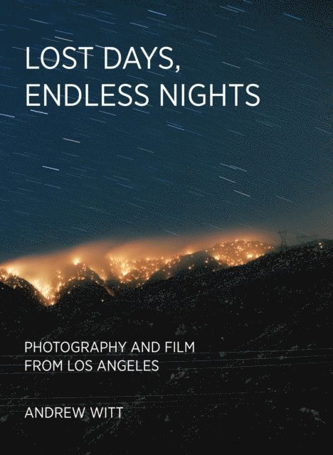 Andrew Witt - Lost Days, Endless Nights, E-bok