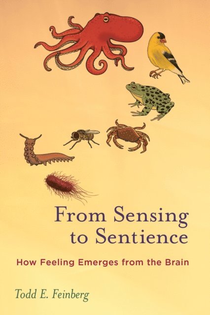 Todd E. Feinberg - From Sensing to Sentience, E-bok
